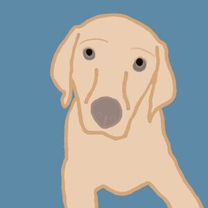 Meet your Posher, The bargain shopper!